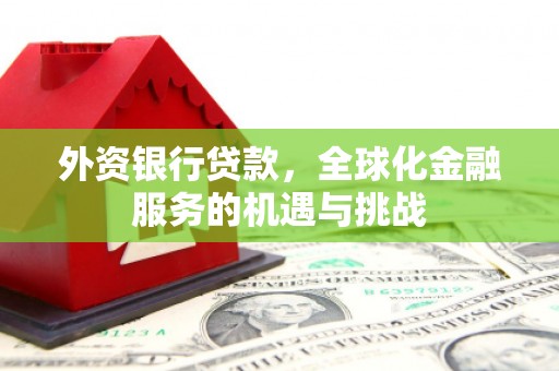 西乡塘外资银行贷款，全球化金融服务的机遇与挑战